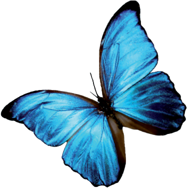 Gesundheit,Massagetherapeut,nebenberuflich,Bodytalk,Dorntherapie,Probleme